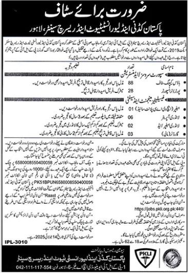 Pakistan Kidney And Liver Institute And Research Centre PKLI Medical Jobs in Lahore 2025