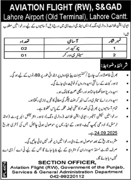 Punjab Board Of Investment And Trade Lahore Jobs 2025