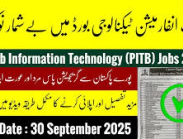 Punjab International Technology (PITB) Job Lahore September 2025