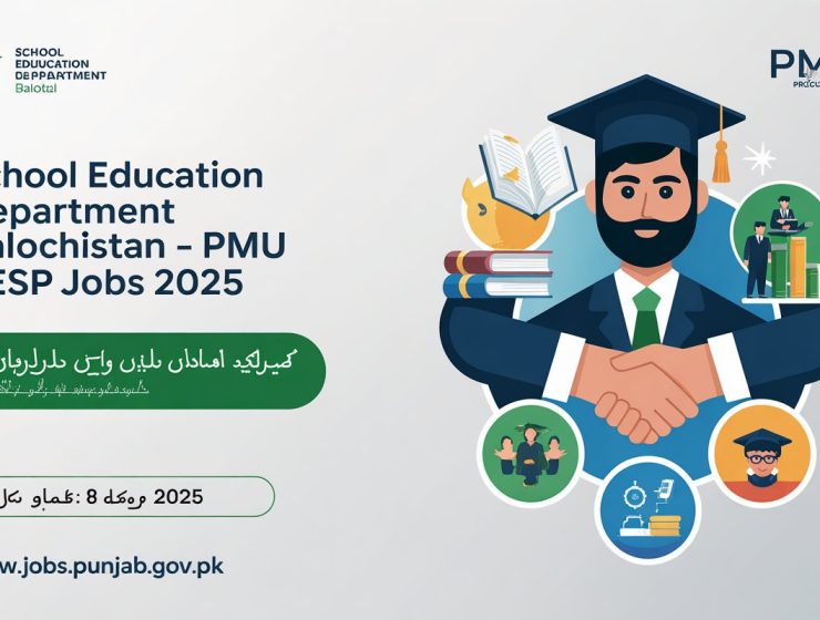 PMU-BESP Consultant Jobs September 2025