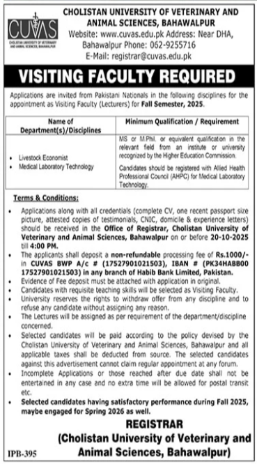 Cholistan University Of Veterinary & Animal Sciences Jobs