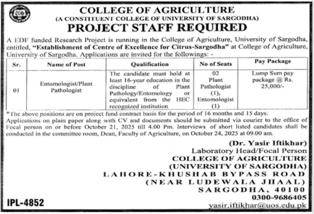 Latest University College of Agriculture Management Posts Sargodha 2025