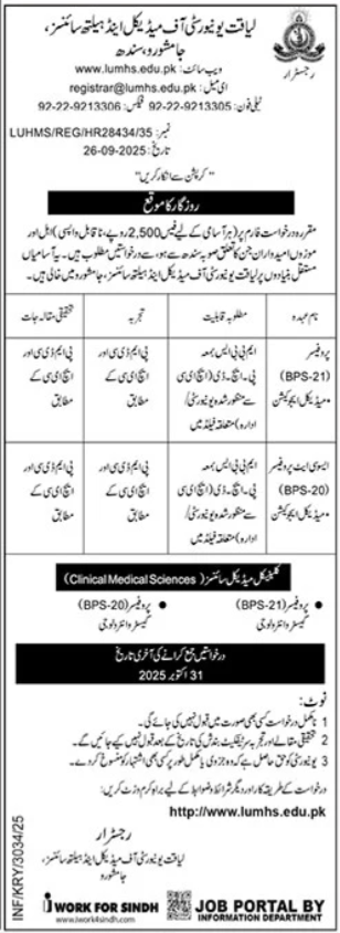 University Of Sindh Jamshoro Jobs 2025