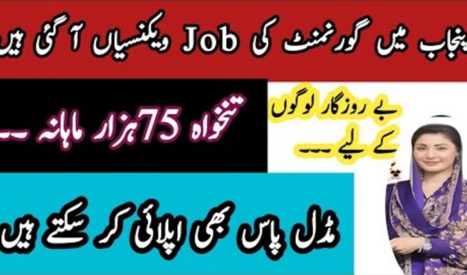 Punjab Rural Municipal Services Company Management Job Lahore 2025