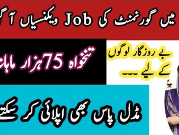 Punjab Rural Municipal Services Company Management Job Lahore 2025