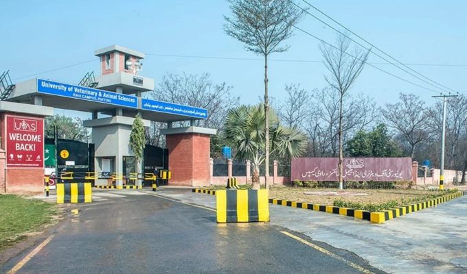 University of Veterinary and Animal Sciences UVAS Jobs Lahore 2025