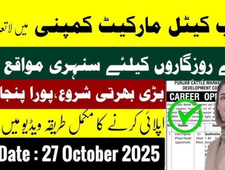 Punjab Cattle Market Management & Development Company Jobs October 2025