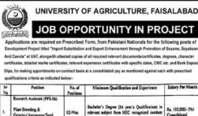 Latest University of Agriculture UAF Management Jobs Faisalabad 2025