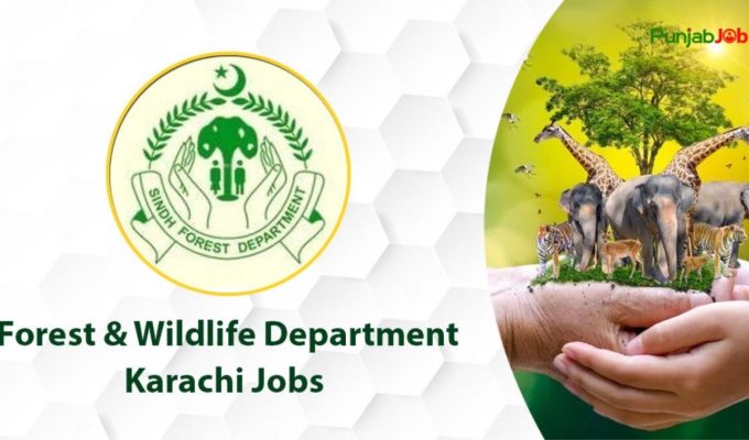 Latest Forest & Wildlife Department Management Jobs Lahore 2025