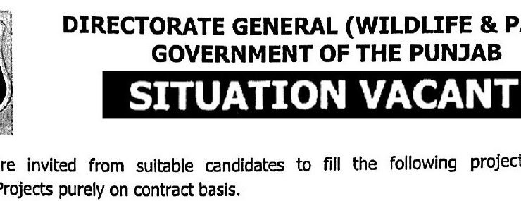 Latest Government Organization Jobs Lahore 2025