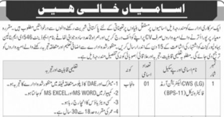 Latest Government Organization Medical Jobs Lahore 2025