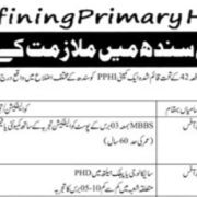 Latest PPHI Sindh Medical Jobs Karachi 2025