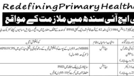 Latest PPHI Sindh Medical Jobs Karachi 2025