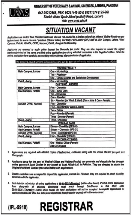Latest University of Veterinary & Animal Sciences Education Jobs Lahore 2025