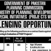 Ministry Of Planning Development & Special Initiative Islamabad Jobs 2025