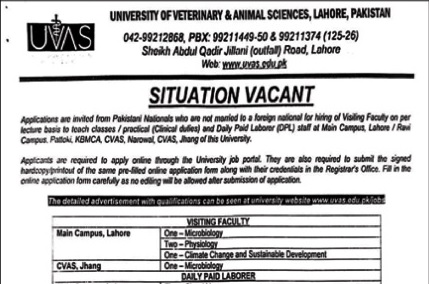 University of Veterinary & Animal Sciences Education Jobs Lahore 2025