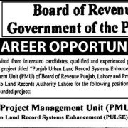 Board of Revenue Punjab Jobs 2025 – Apply Online for PULSE Project