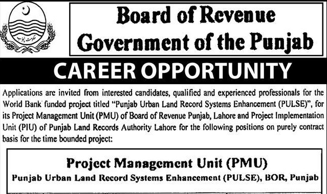 Board of Revenue Punjab Jobs 2025 – Apply Online for PULSE Project