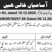 Deputy Commissioner Office Karak Jobs Openings 2025–26