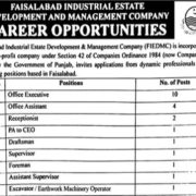 FIEDMC Faisalabad Jobs 2026 – CV & Online Apply