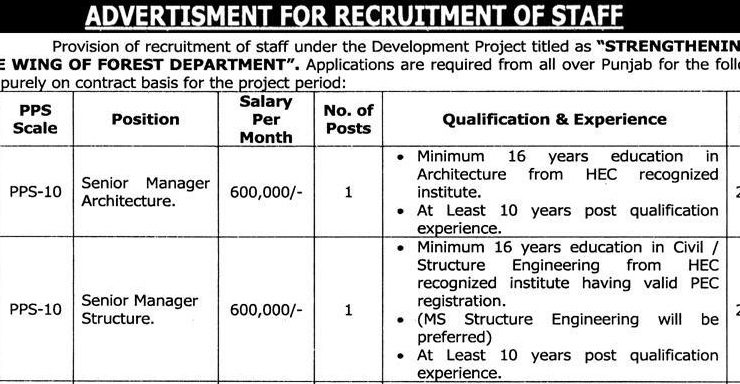 Forest Department Punjab Jobs Openings 2026 – Strengthening of PM&E Wing
