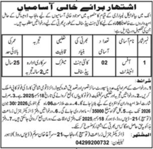 Director General Agriculture (Extension) Punjab Jobs 2025