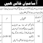 Latest Jobs 2025 in Directorate of Archives & Libraries Khyber Pakhtunkhwa