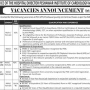Peshawar Institute of Cardiology (PIC-MTI) Jobs Openings 2026