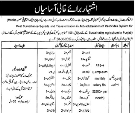 Punjab Agriculture Department Jobs 2026 – Director General Pest Warning
