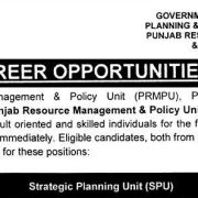 Punjab Resource Management & Policy Unit (PRMPU) Jobs 2025 – Strategic Planning