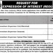 Punjab Safe Cities Authority Jobs 2025 Apply for Professional Vacancies Online & Offline