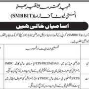 Shaheed Mohtarma Benazir Bhutto Institute of Trauma (SMBBIT) Karachi Jobs 2026