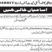 Shaheed Mohtarma Benazir Bhutto Institute of Trauma (SMBBIT) Karachi Jobs 2026