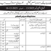 Sindh Public Service Commission (SPSC) Jobs Openings 2026