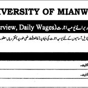 University of Mianwali Daily Wage Jobs 2025 – Walk-In Interview for Various Positions