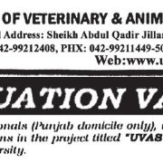 University of Veterinary & Animal Sciences Announces Vacancies 2025