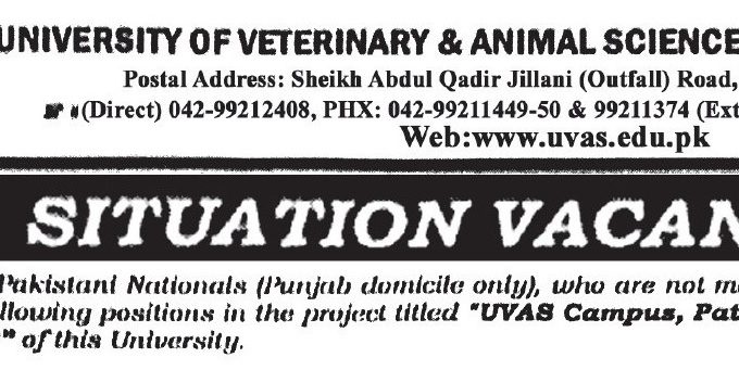 University of Veterinary & Animal Sciences Announces Vacancies 2025
