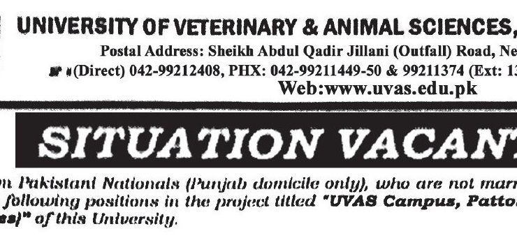 University of Veterinary & Animal Sciences Announces Vacancies 2025