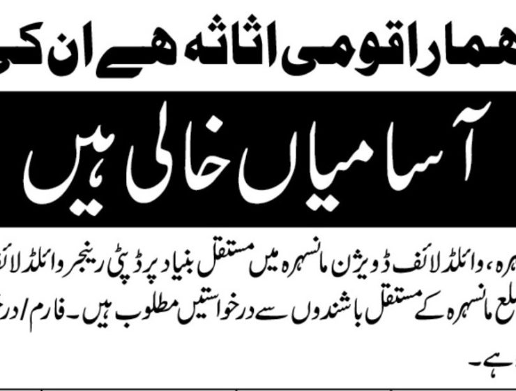 Wildlife Department Mansehra Jobs 2025 – Deputy Ranger & Wildlife Watcher