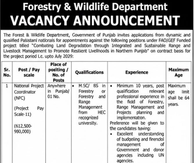 Forestry & Wildlife Department Punjab Jobs 2026 – Apply Online