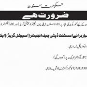 Government of Sindh Jobs 2026 – Chief Minister’s Inspection
