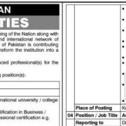 National Bank of Pakistan Job Openings 2026 – Audit & Inspection Group Careers