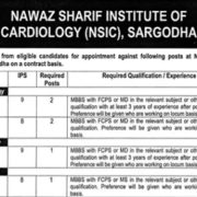 Nawaz Sharif Institute of Cardiology (NSIC) Sargodha Jobs 2026