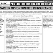 Punjab Life Insurance Company (PLIC) Jobs 2026 – Management Positions in Lahore