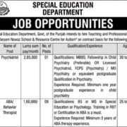 Special Education Department Punjab Jobs 2026 – Teaching & Professional