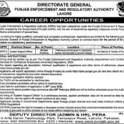 Punjab Enforcement & Regulatory Authority (PERA) Jobs 2026