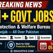 Child Protection and Welfare Bureau Punjab Lahore Jobs May 2026 - 311 Posts NTS Apply Online