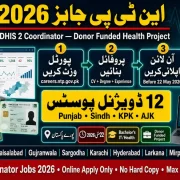 NTP DHIS 2 Coordinator Jobs May 2026 – Apply Online careers.ntp.gov.pk | Educativz
