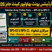 90 Ordnance Unit Bahawalpur Cantt Jobs 2026 — LDC, Storeman, Driver & More | Last Date June 3 | Educativz