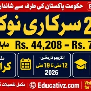 Public Sector Organization Karachi Official Job Advertisement May 2026